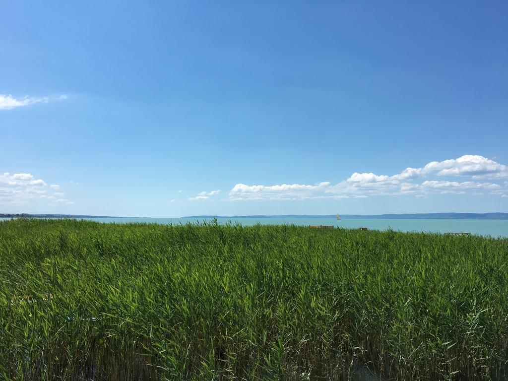 Residence At Lake Balaton Шіофок Екстер'єр фото